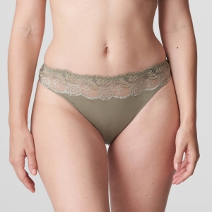 DELIGHT BTQ botanique