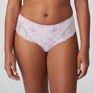 Orlando SVI sweet viole