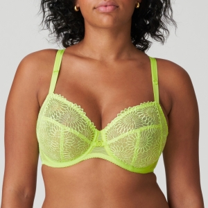 SOPHORA LIU Lime crush